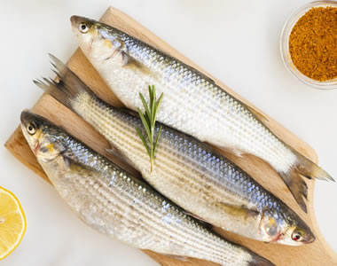 Como Usar a Carcaça de Peixe